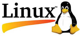 Linux IT Support